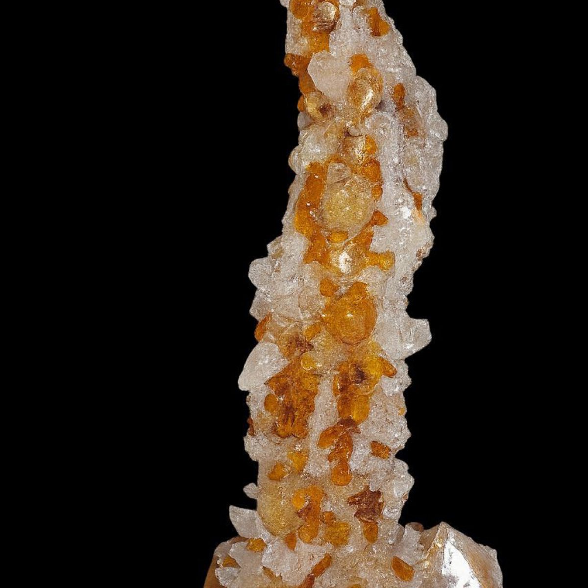 Vintage photo_2025-11-02_12-45-00